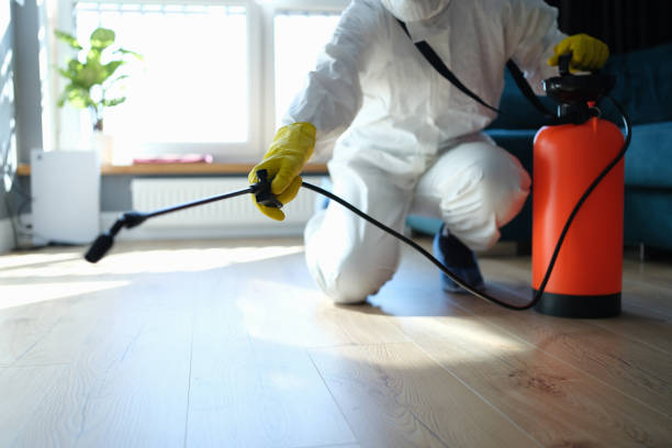 Reliable Odor Removal contractor in Fresno, CA by Trauma Clean Pros
